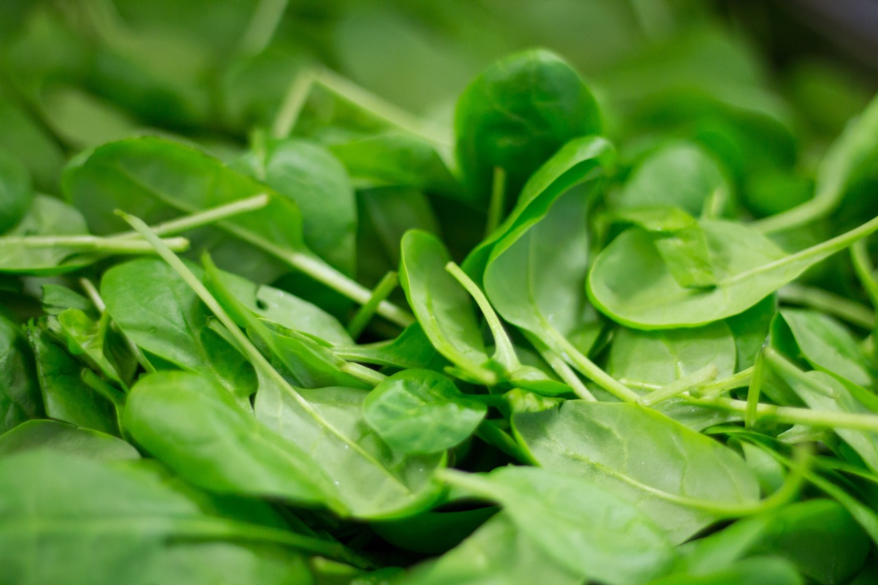 spinach, plant, nourishment-2216967.jpg